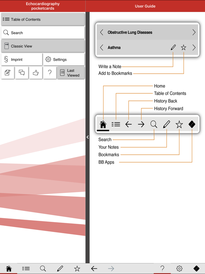 Echocardiography pocketcards