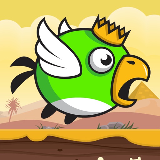 King Bird In The Desert