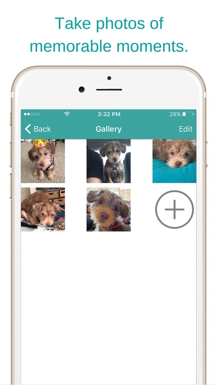 The Petter - Pet Calendar screenshot-4