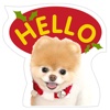 Coco The Pomeranian Dog Stickers - Happy Holidays