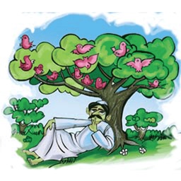 أروع الحكم المصورة