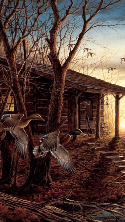 Old House Wallpapers