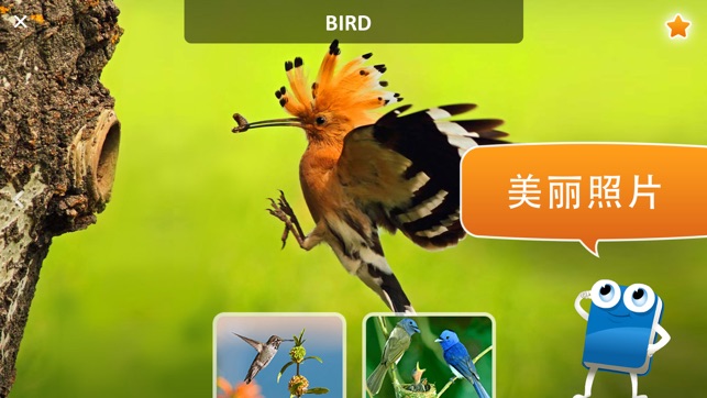 Vocaboo English for kids: 儿童英语, 学习单词和 ABC(圖2)-速報App