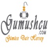 Gumushcu.Com