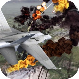 Combat Warplanes