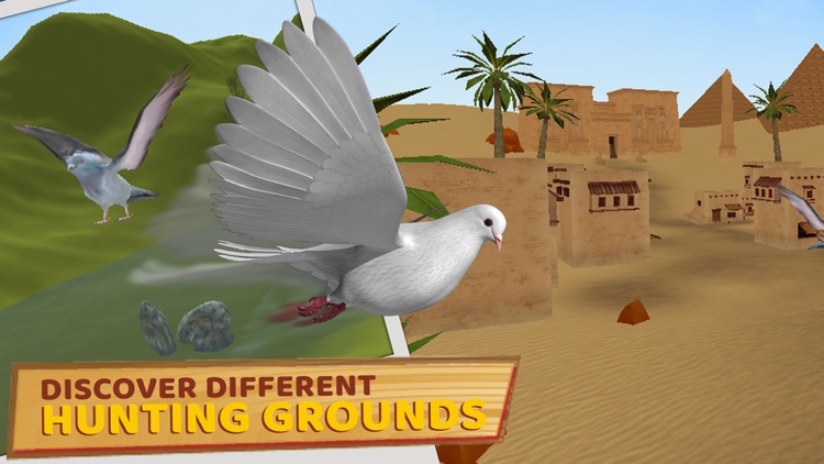 Pigeon Spy Hunting 3D - Action Zoom