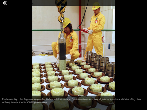Nuclear Energy and the Nuclear Energy Industry - náhled