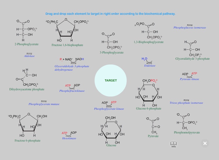 The Glycolysis screenshot-3