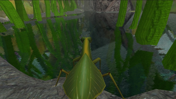 Praying Mantis Simulator 3D screenshot-3