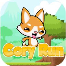 Activities of Cory Run