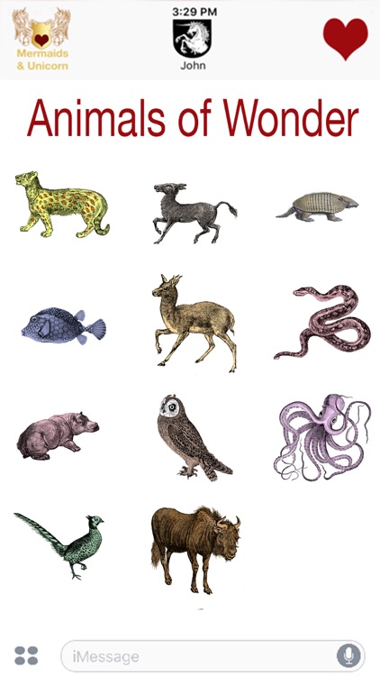 Animals of Wonder