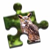 Icon Owls of the World Puzzle