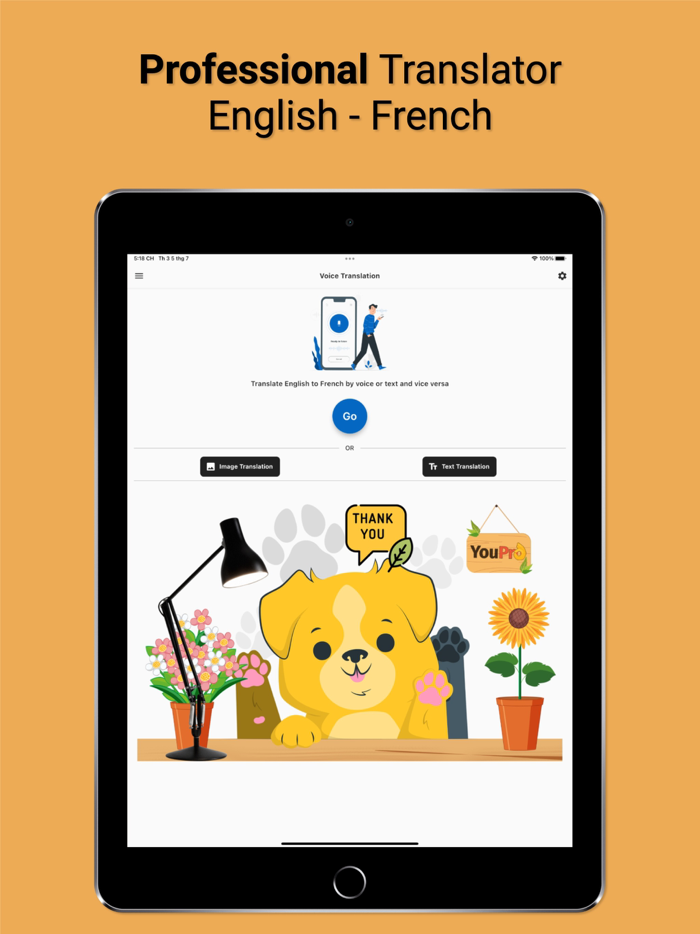 English to French Traduction