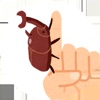 Beetle Tap