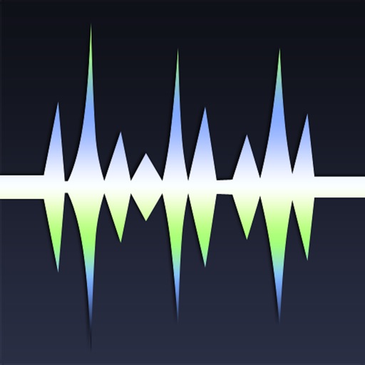 WavePad Music and Audio Editor icon