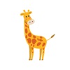 GiraffeMath