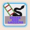 Icon Snake and ladders Pro Game