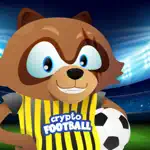 Crypto Football App Contact