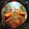Wild Animal Shooting Clash