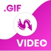 Icon GIF to Video