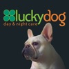 Luckydog Day & Night Care