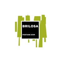 BRILOSA VR