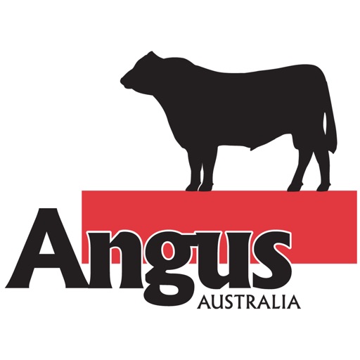 Angus