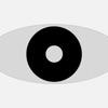 Icon Eyes training tool