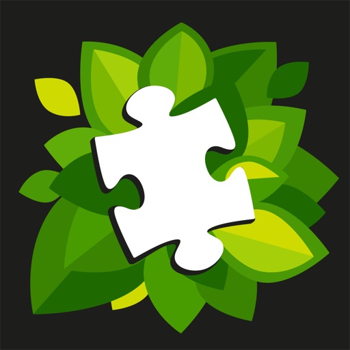 1000 Jigsaw Puzzles Nature Icon