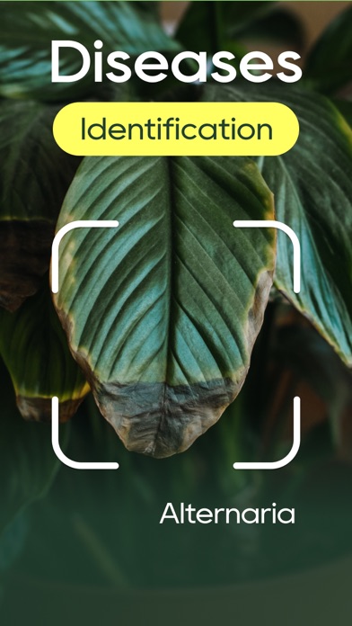 Plant Identifier: Plant Care screenshot 2