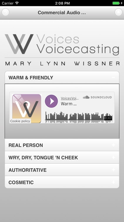 Voice Over Self Direction screenshot-3