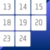 Twenty Five Puzzle