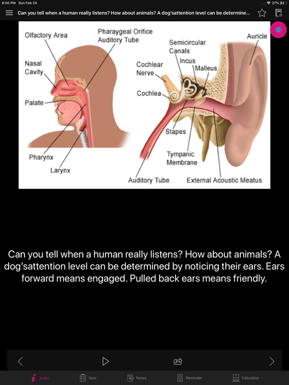 Human Anatomy Ears Facts, Quiz screenshot 2