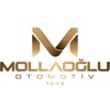 Mollaoglu