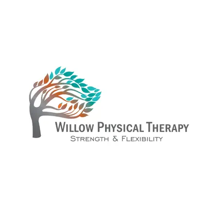 Willow Physical Therapy Читы