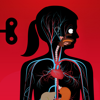 The Human Body by Tinybop - Tinybop Inc.