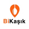 BiKaşık