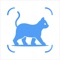 Identify any cat breed with our app
