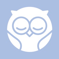 Owlet Dream