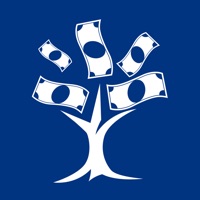 Solvent Ausgaben-Manager