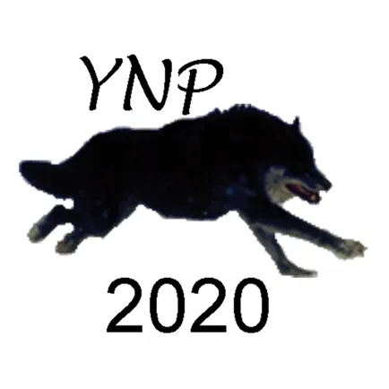 Yellowstone Wolves 2020 Cheats