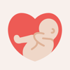 PS Wellness LLC - Little Bean: Pregnancy Health アートワーク