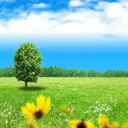 Nature Wallpapers HD Читы