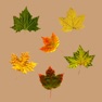 Get Leaf Drop for iOS, iPhone, iPad Aso Report
