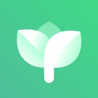 Plant Parent: Plant Care Guide Reviews