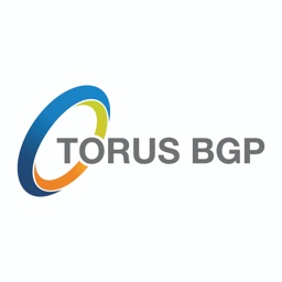 Torus BGP Mobilise