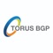 This Torus Mobilise app provides Torus BGP offshore workforce access to their mobilisation details and communications