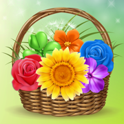 Blossom Blitz : Flower Crush