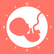 宫缩记录器&胎动计数器:数胎动&怀孕管家