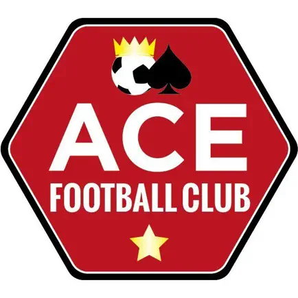 Ace Football Club Читы